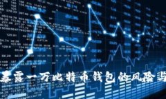 公共网络暴露一万比特币