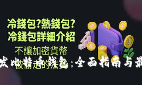 如何开发比特币钱包：全面指南与最佳实践