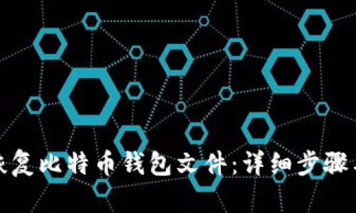 如何恢复比特币钱包文件：详细步骤与技巧