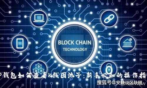 TP钱包如何查看K线图池子：新手必知的操作指南