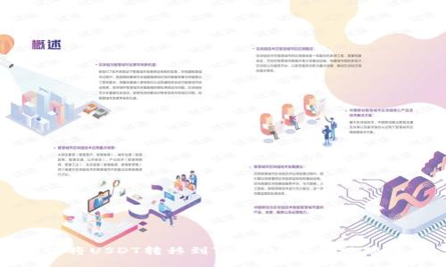 如何将USDT转移到TP钱包：详细视频教程