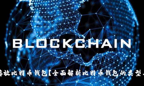 如何安全存放比特币钱包？全面解析比特币钱包的类型与存放技巧