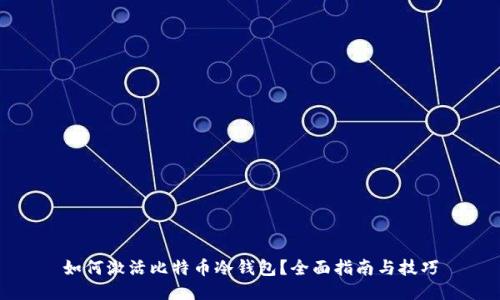 如何激活比特币冷钱包？全面指南与技巧