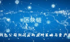 比特币钱包公司倒闭后的应对策略与资产保护指