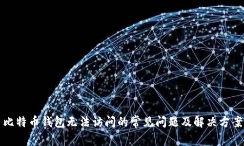 比特币钱包无法访问的常见问题及解决方案
