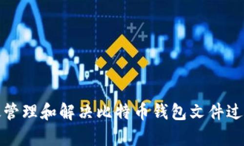 如何有效管理和解决比特币钱包文件过大的问题