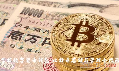 掌握数字货币钱包：比特币存储与管理全指南