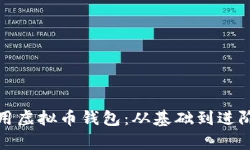 如何有效运用虚拟币钱包：从基础到进阶的详细指南