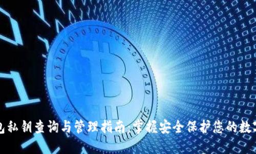 TP钱包私钥查询与管理指南：掌握安全保护您的数字资产
