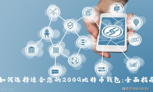 如何选择适合您的200G比特币钱包：全面指南