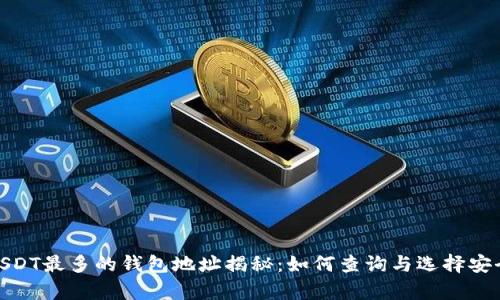 存量USDT最多的钱包地址揭秘：如何查询与选择安全存储