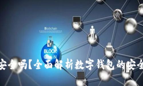 : TP数字钱包安全吗？全面解析数字钱包的安全性与保护措施