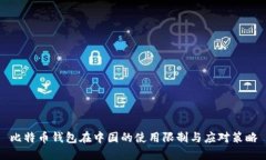 比特币钱包在中国的使用