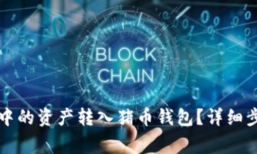 如何将TP钱包中的资产转入猪币钱包？详细步骤与注意事项