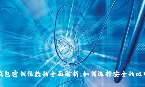 比特币钱包密钥位数的全面解析：如何选择安全的比特币钱包