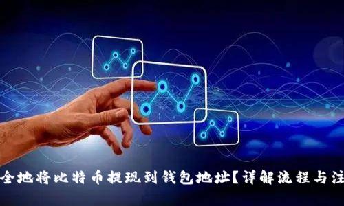 如何安全地将比特币提现到钱包地址？详解流程与注意事项