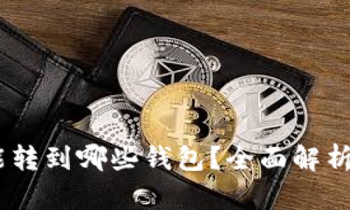 USDT能转到哪些钱包？全面解析和推荐