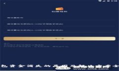 TP钱包资金消失的原因及解
