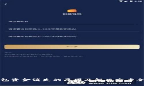 TP钱包资金消失的原因及解决方案全解析
