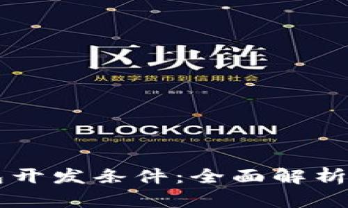 区块链钱包开发条件：全面解析与实践指南
