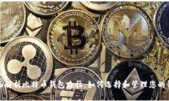 全面解析比特币钱包路径