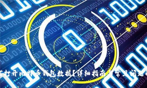 如何打开比特币钱包数据？详细指南与常见问题解答