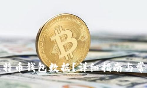 如何打开比特币钱包数据？详细指南与常见问题解答