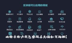 比特币账户钱包密码丢失