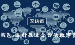常用的USDT钱包：选择最适