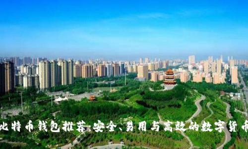 最佳韩国比特币钱包推荐：安全、易用与高效的数字货币管理工具