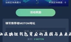 中国禁止区块链钱包背后