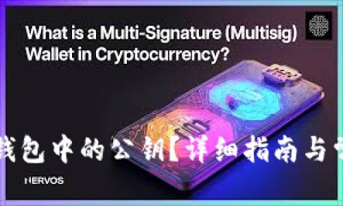 如何查看TP钱包中的公钥？详细指南与常见问题解答