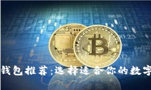 中文版虚拟币钱包推荐：选择适合你的数字资产存储方案