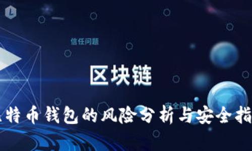 比特币钱包的风险分析与安全指南