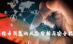 比特币钱包的风险分析与安全指南