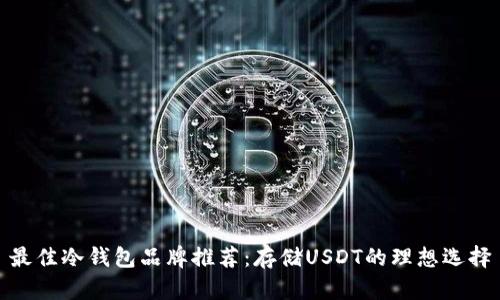 最佳冷钱包品牌推荐：存储USDT的理想选择