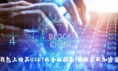 在钱包上购买USDT的全面指