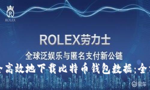 如何安全高效地下载比特币钱包数据：全方位指南