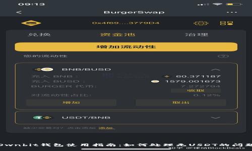 Ownbit钱包使用指南：如何处理无USDT的问题