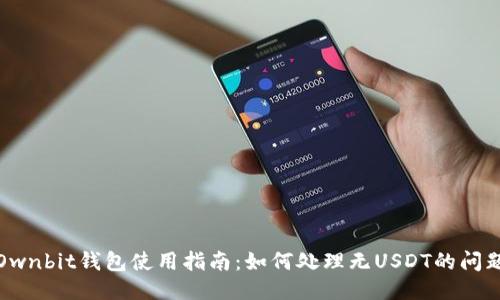 Ownbit钱包使用指南：如何处理无USDT的问题